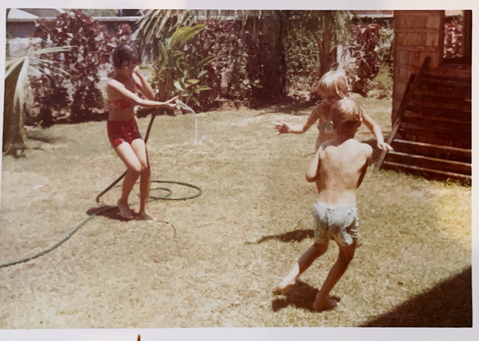 Children playing in a yard